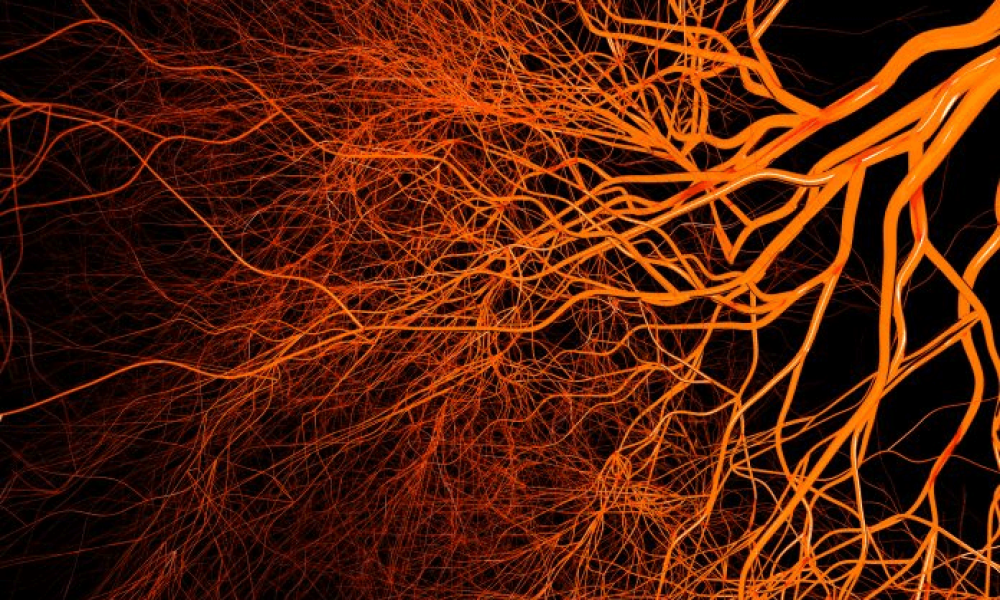 image_2025-06-25_015119845